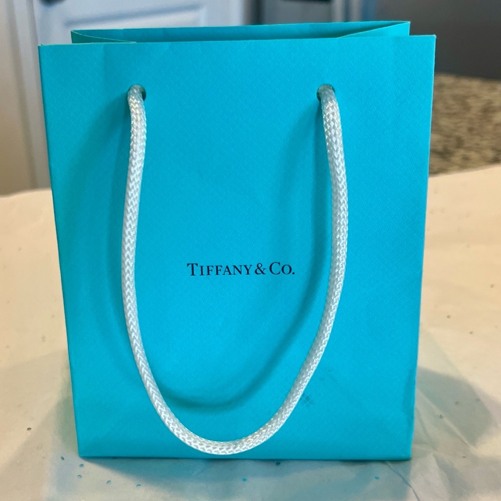 Tiffany & Co. Turquoise Paper Gift Bag with White Rope Handles - Picture 4 of 5